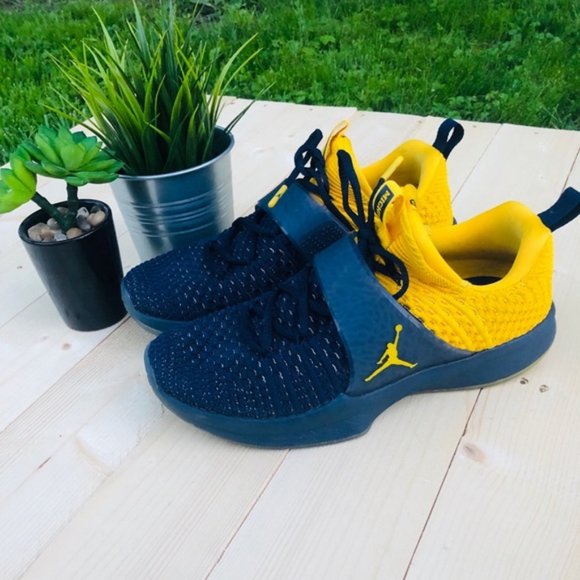 Jordan Other - ❤️Jordan Michigan wolverines shoes
